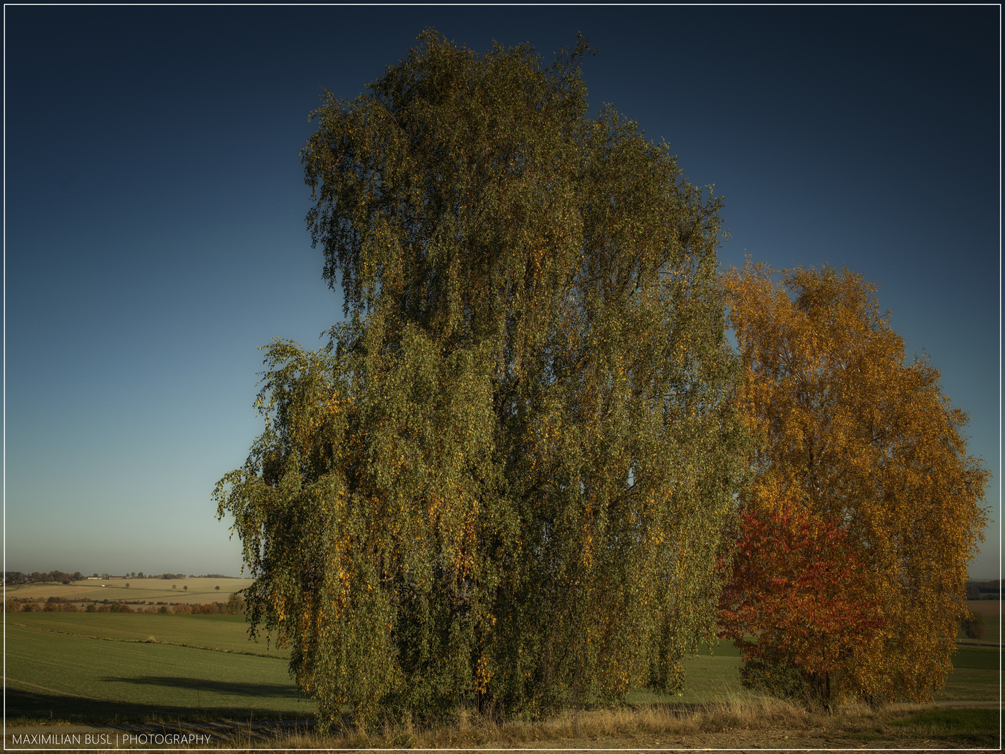 Im Herbstkleid