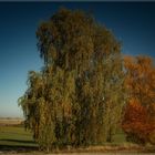 Im Herbstkleid