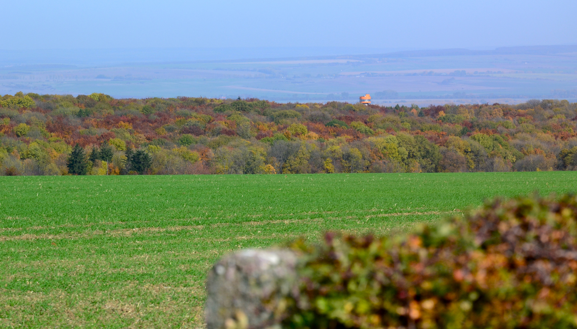 Im "Herbstkleid" präsentierte sich uns gestern…