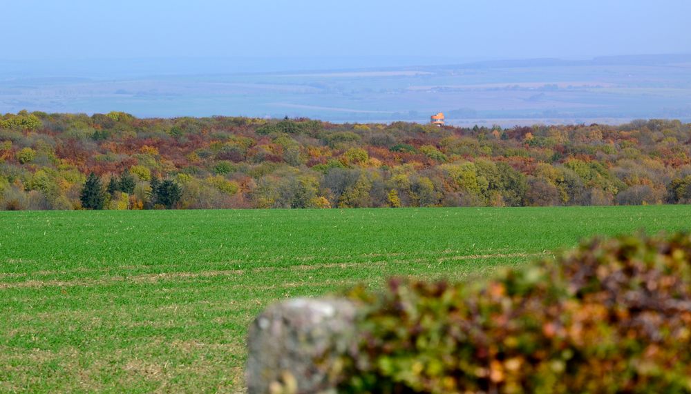 Im "Herbstkleid" präsentierte sich uns gestern…