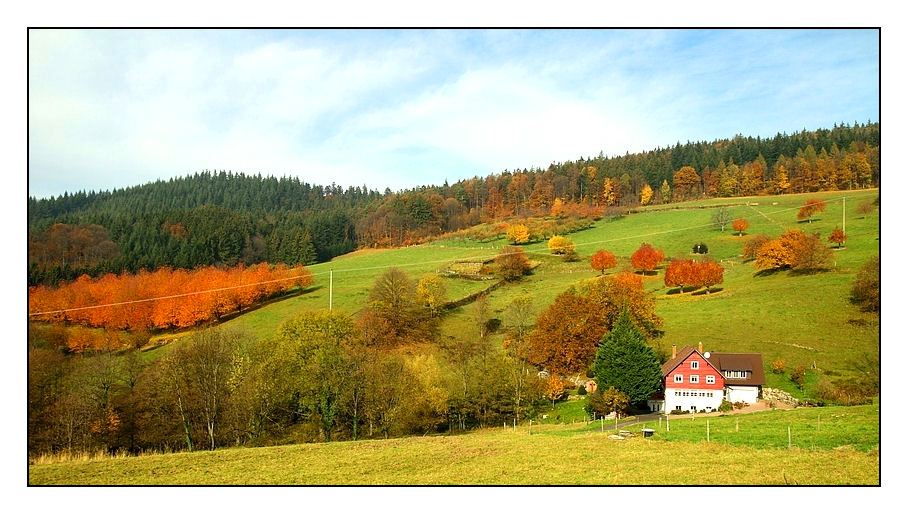 Im herbstlich bunten Schwarzwald