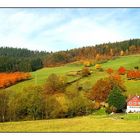 Im herbstlich bunten Schwarzwald