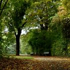 im herbstlich geschmückten Park