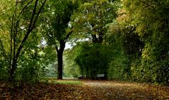 im herbstlich geschmückten Park