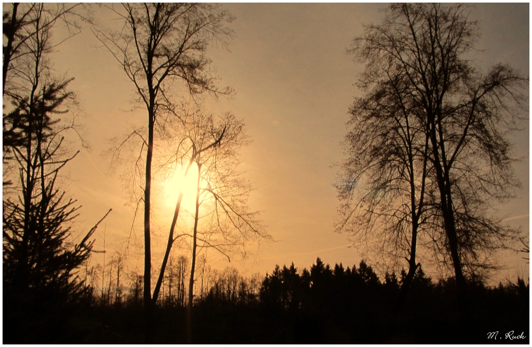 Im herbstlichen Abendlicht ,