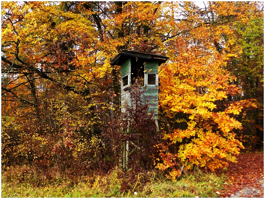 Im herbstlichen Ambiente steht er da , 