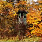 Im herbstlichen Ambiente steht er da , 