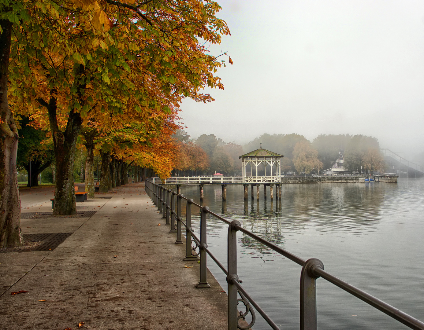 im herbstlichen Bregenz am Bodensee...