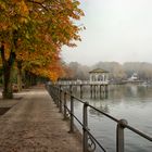 im herbstlichen Bregenz am Bodensee...