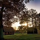 Im herbstlichen Gegenlicht