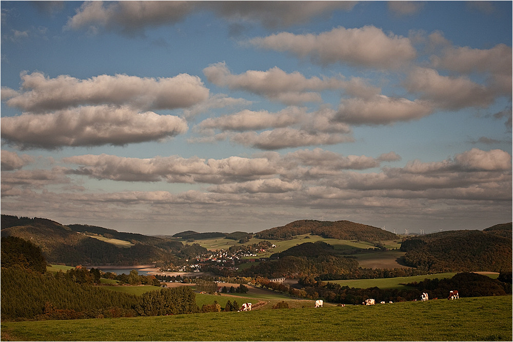 :: ~ im herbstlichen Glanz ~ ::