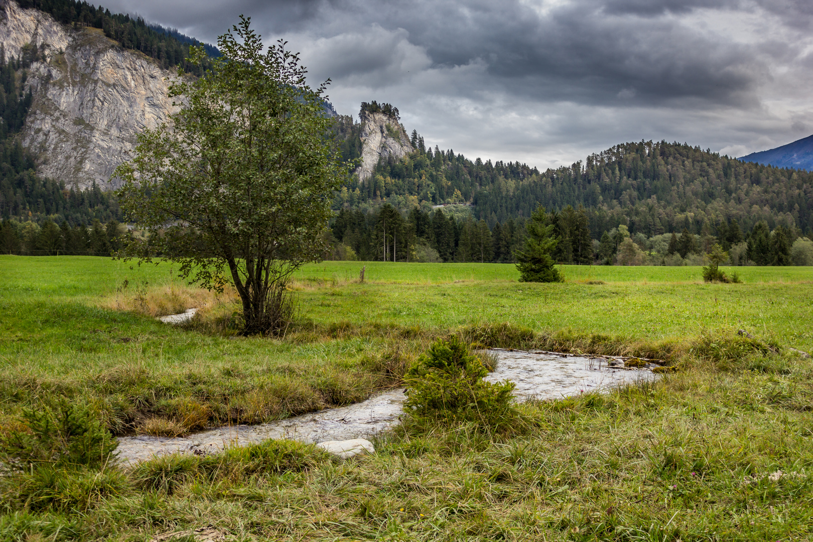 Im herbstlichen Grün