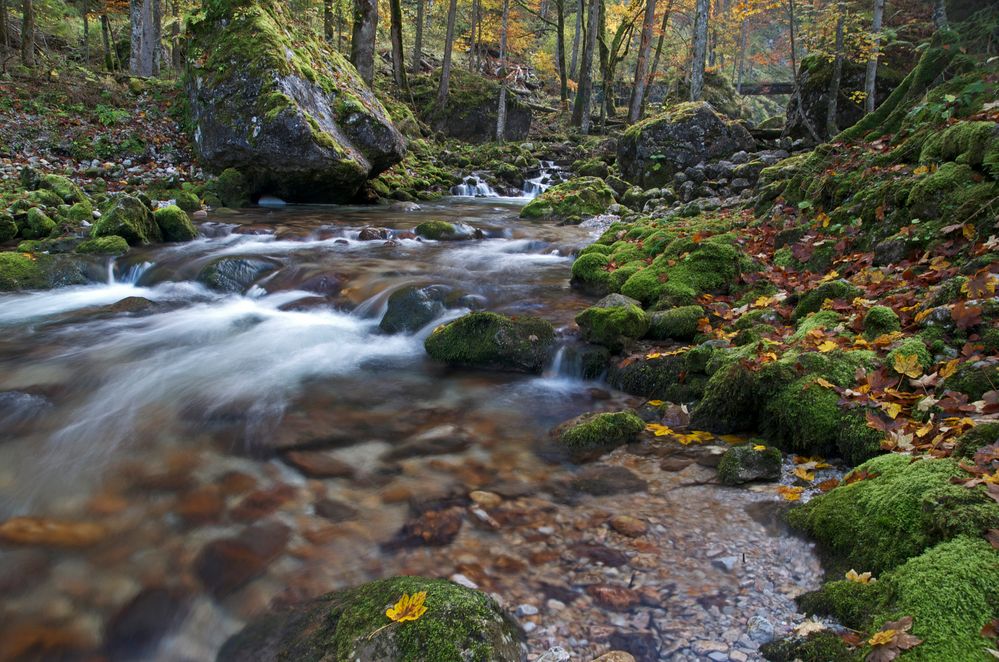 Im herbstlichen Hartlgraben