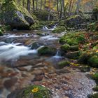 Im herbstlichen Hartlgraben