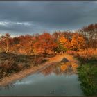 Im herbstlichen Licht...