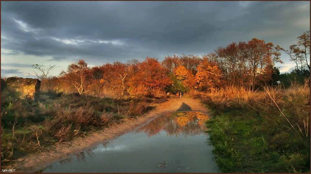 Im herbstlichen Licht...