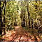 Im herbstlichen Licht gesehen 