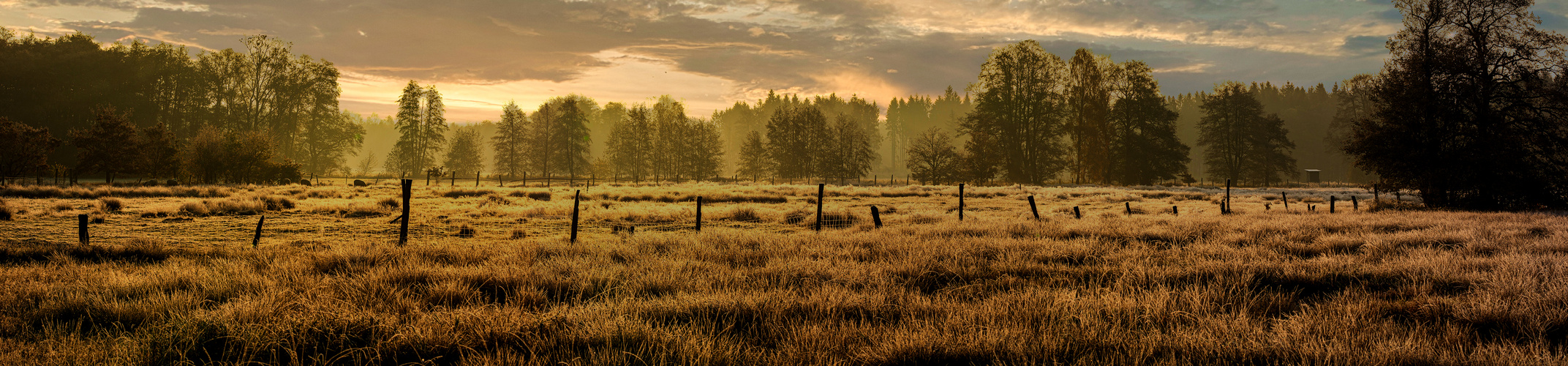 Im herbstlichen Morgenlicht