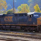 Im herbstlichen Morgenlicht stehende CSX#893, eine moderne ES44AC, Grafton Yard,WV, USA