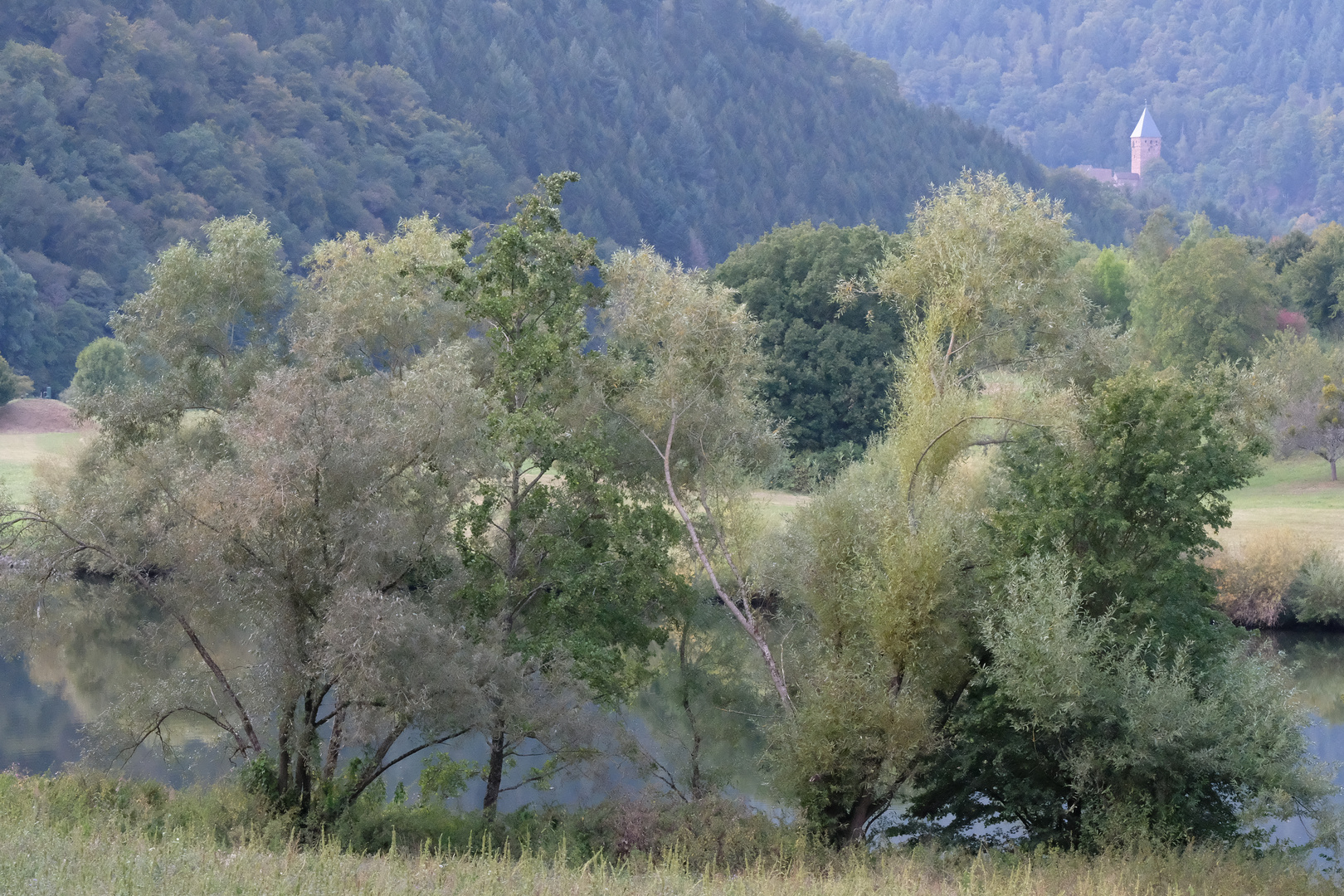 Im herbstlichen Neckartal mit Blick auf das Schloss Zwingenberg