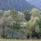 Im herbstlichen Neckartal mit Blick auf das Schloss Zwingenberg