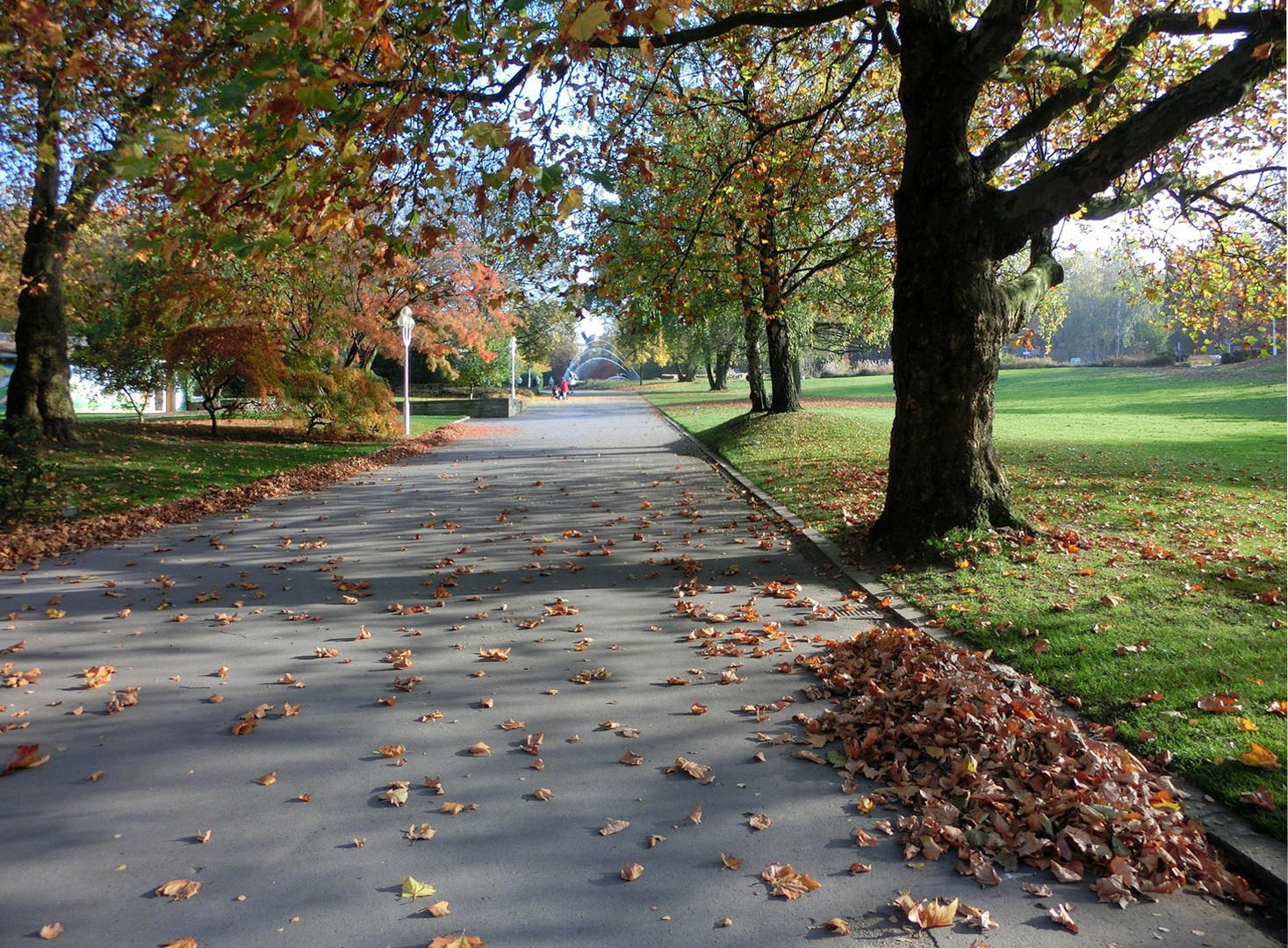 Im herbstlichen Park