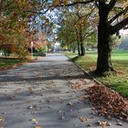 Im herbstlichen Park