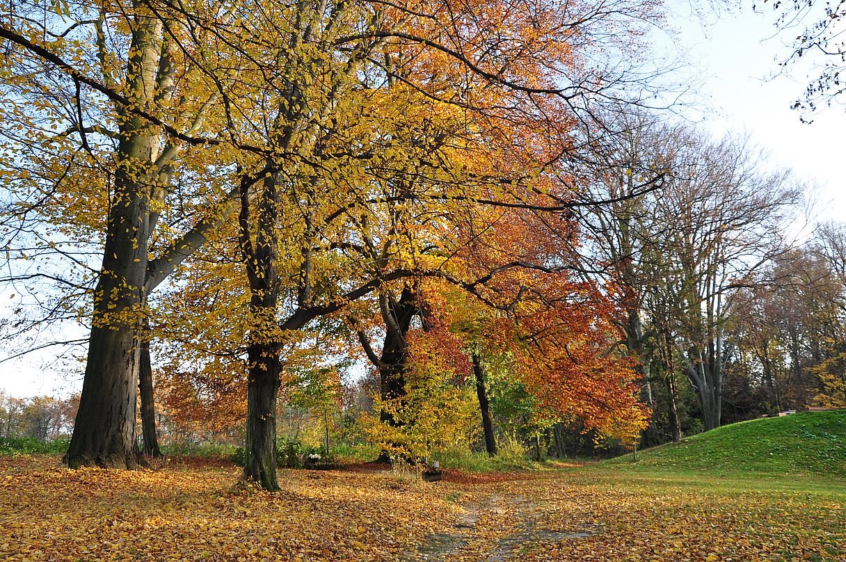 Im herbstlichen Schlosspark