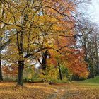 Im herbstlichen Schlosspark