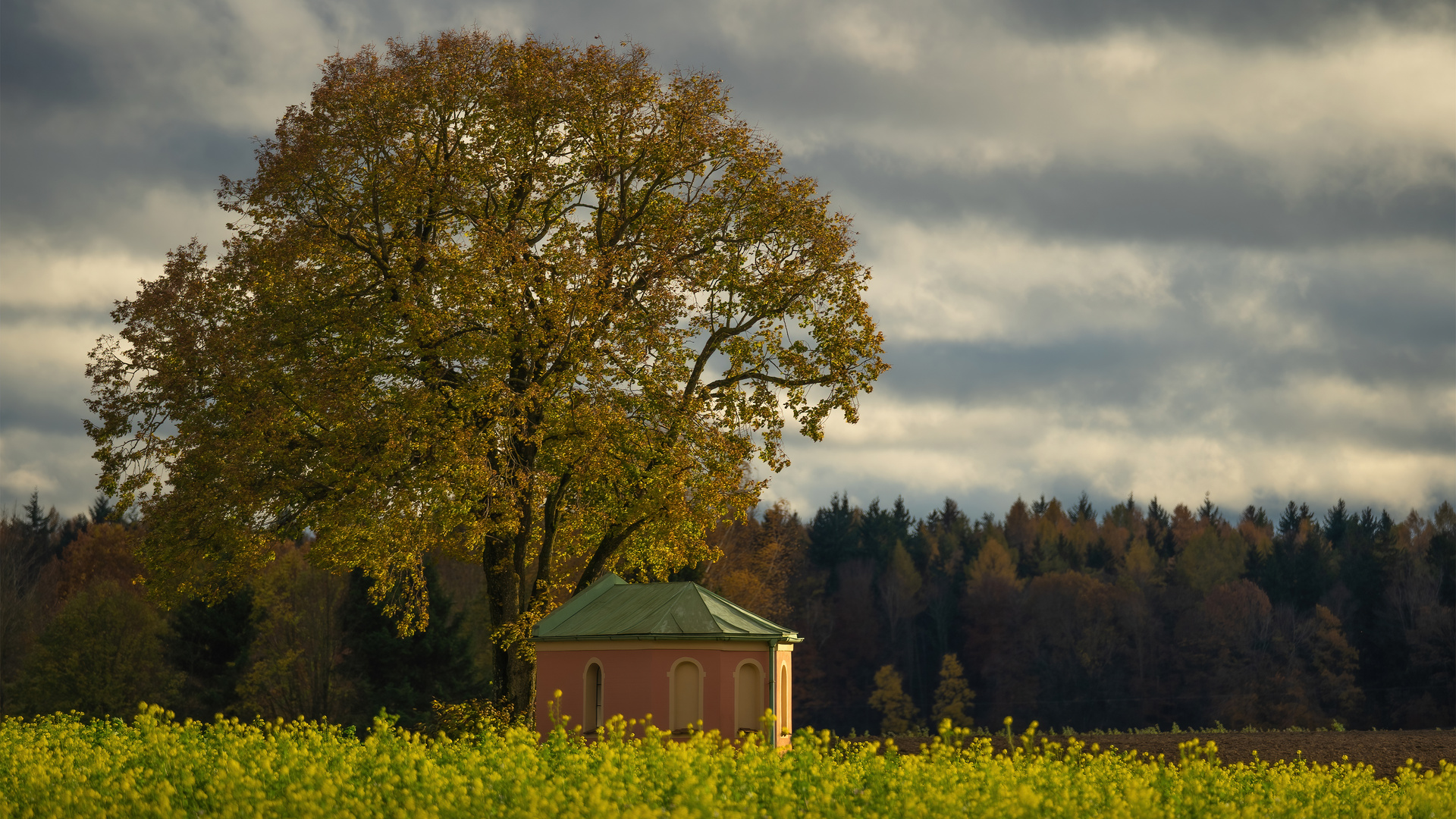 Im Herbstlicht 