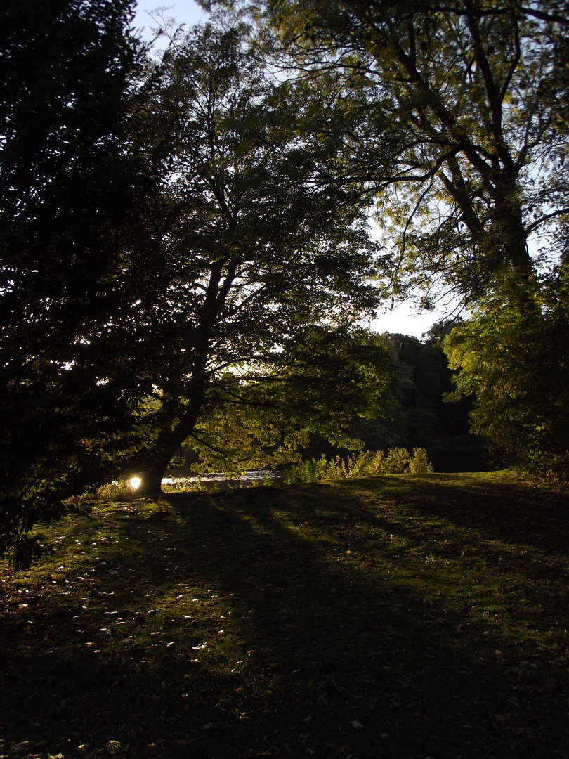 Im Herbstlicht