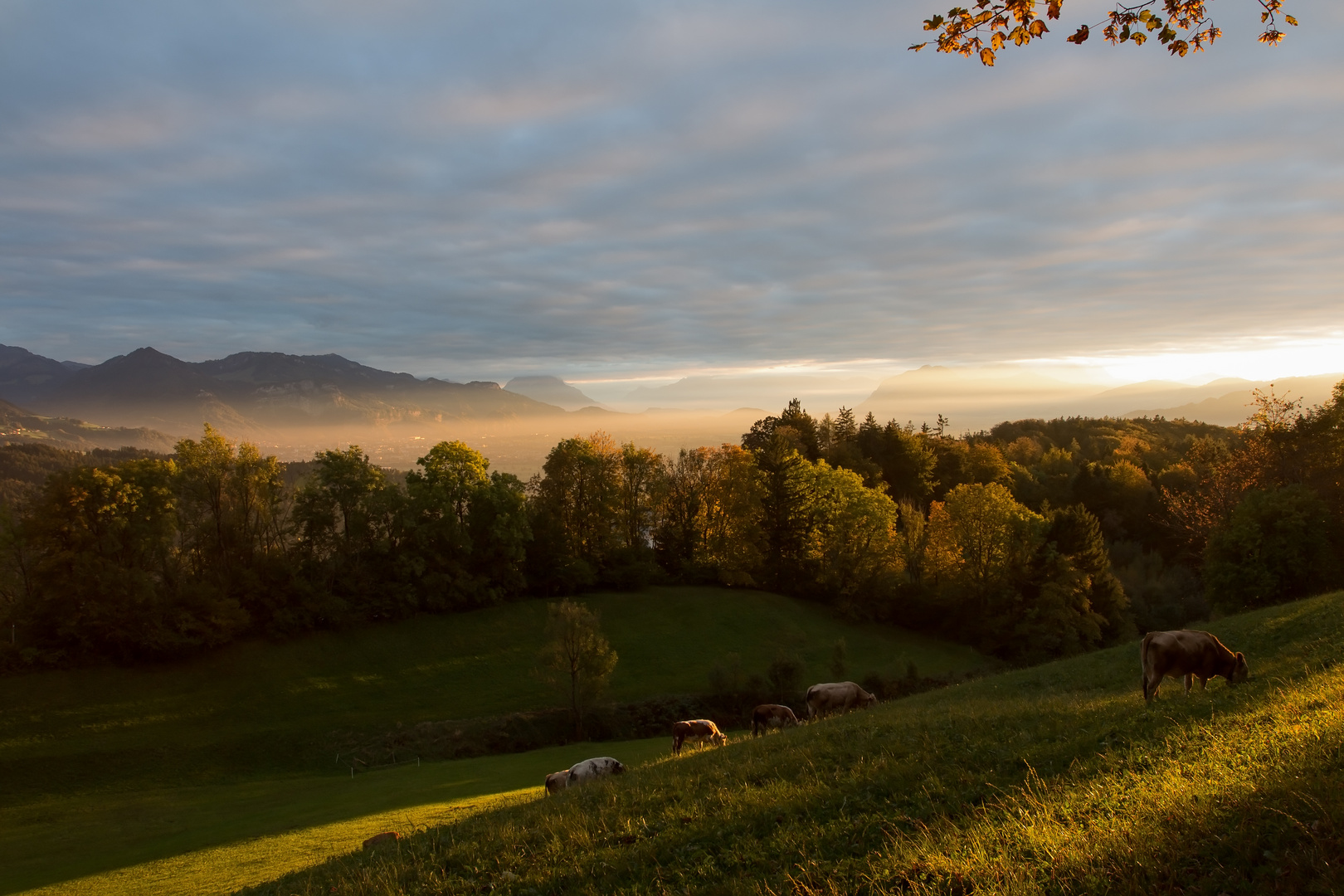 Im Herbstlicht