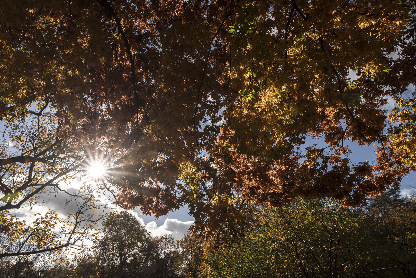 Im Herbstlicht