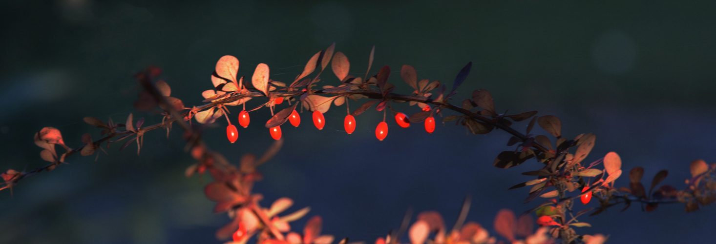 Im Herbstlicht