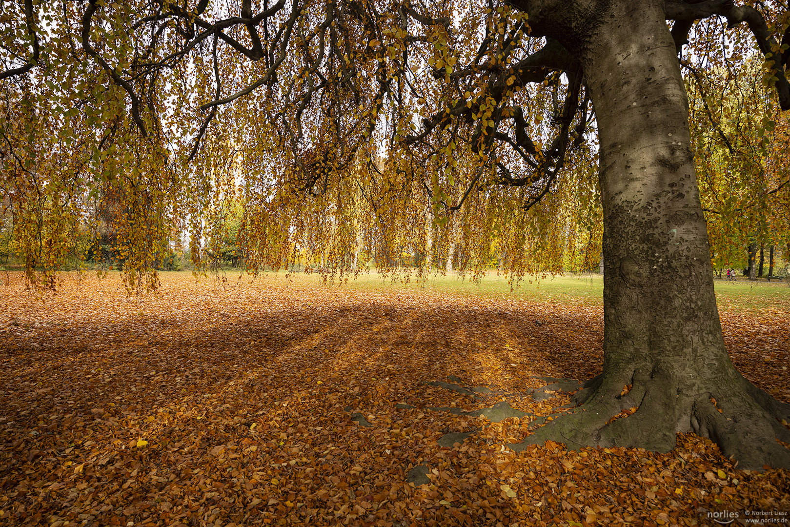 Im Herbstlicht