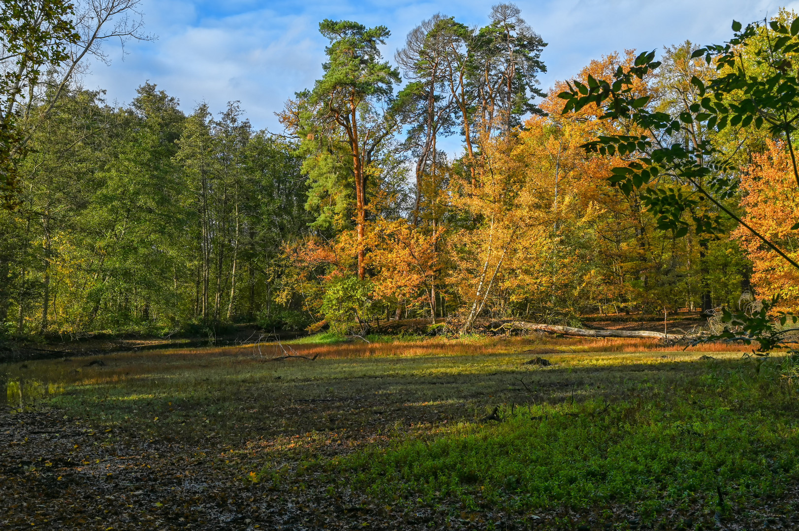 Im Herbstlicht....