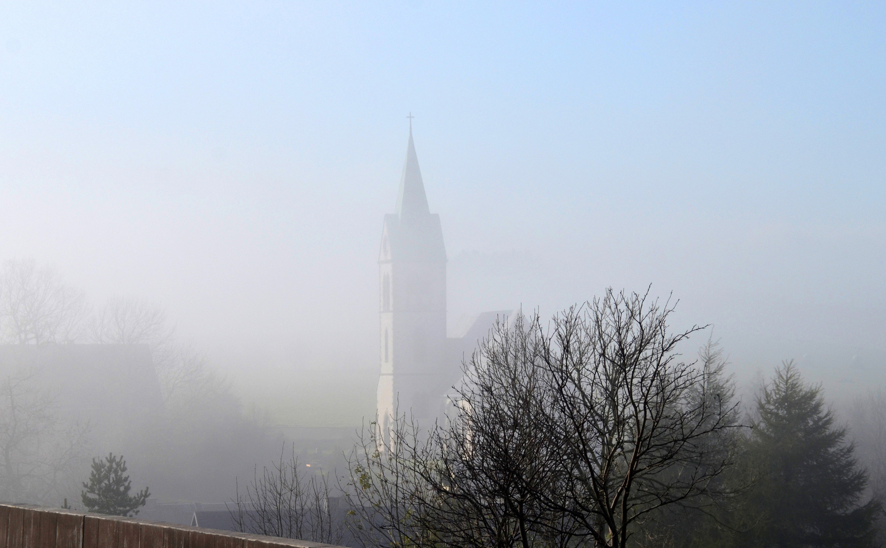 Im Herbstnebel