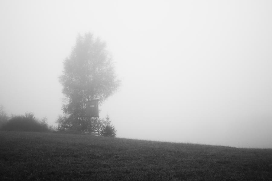 Im Herbstnebel