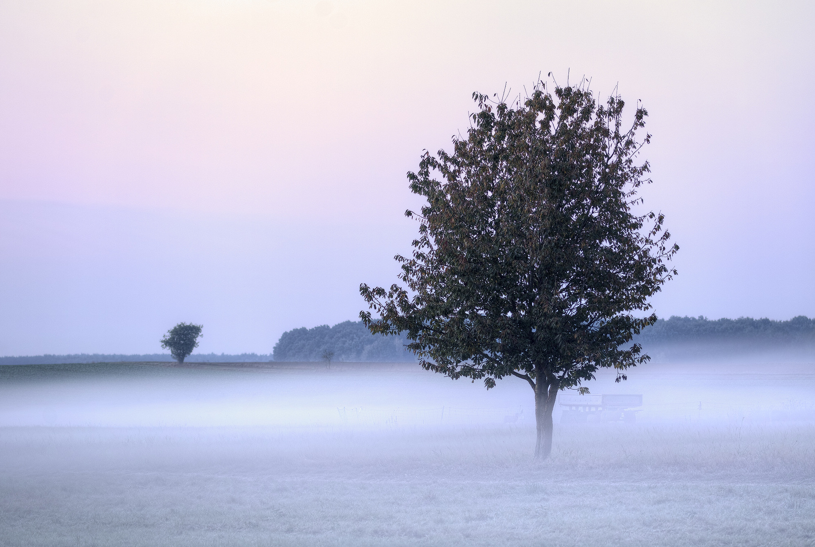 Im Herbstnebel