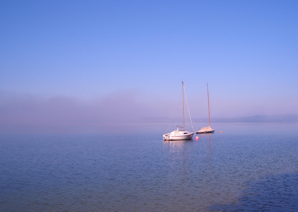 im Herbstnebel versunken