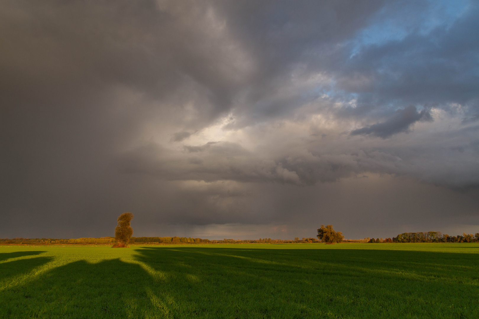 ..... im Herbstsonne