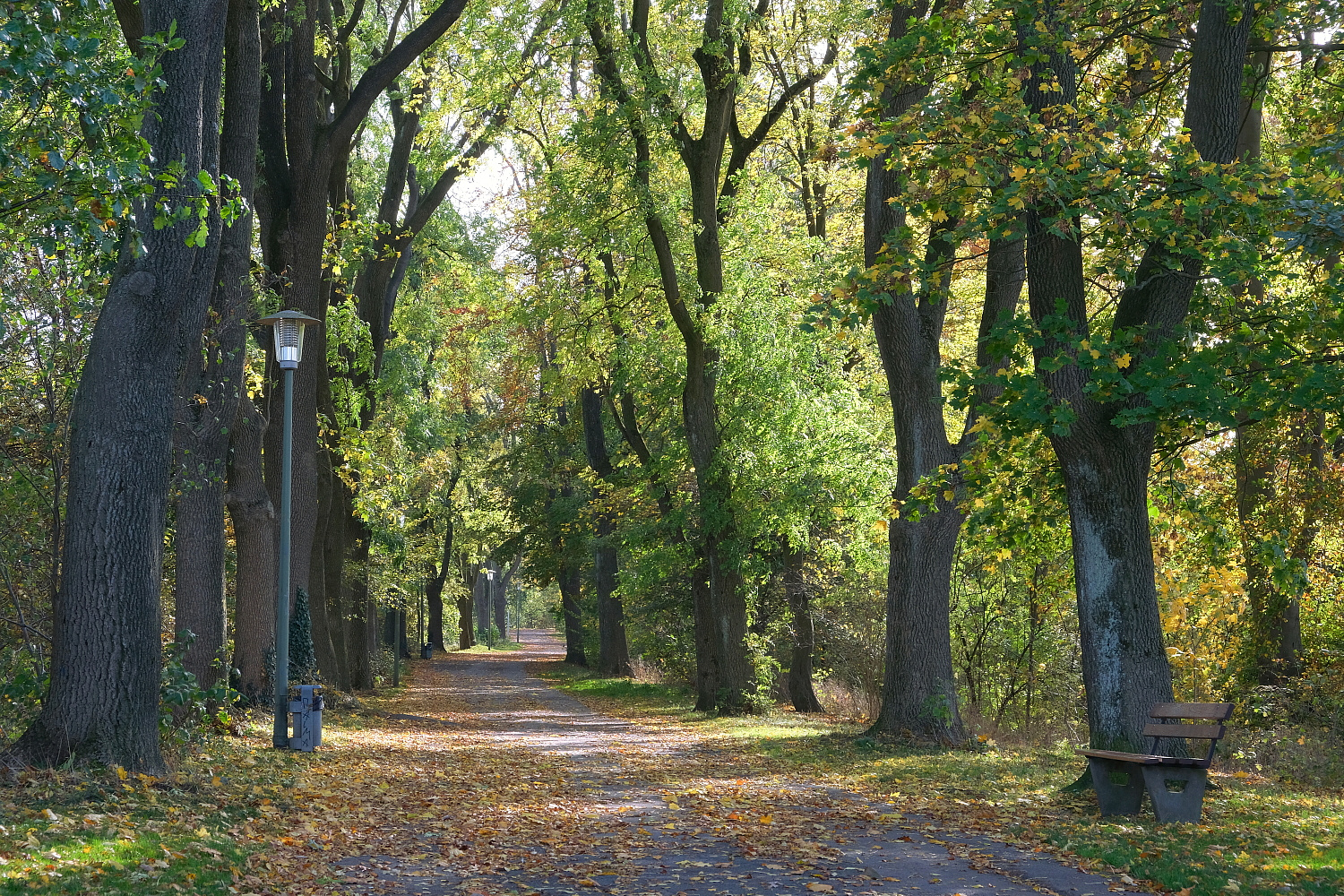 Im Herbstsonnenschein