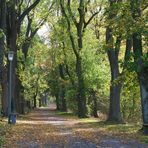 Im Herbstsonnenschein