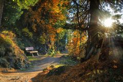 Im Herbstwald unterwegs