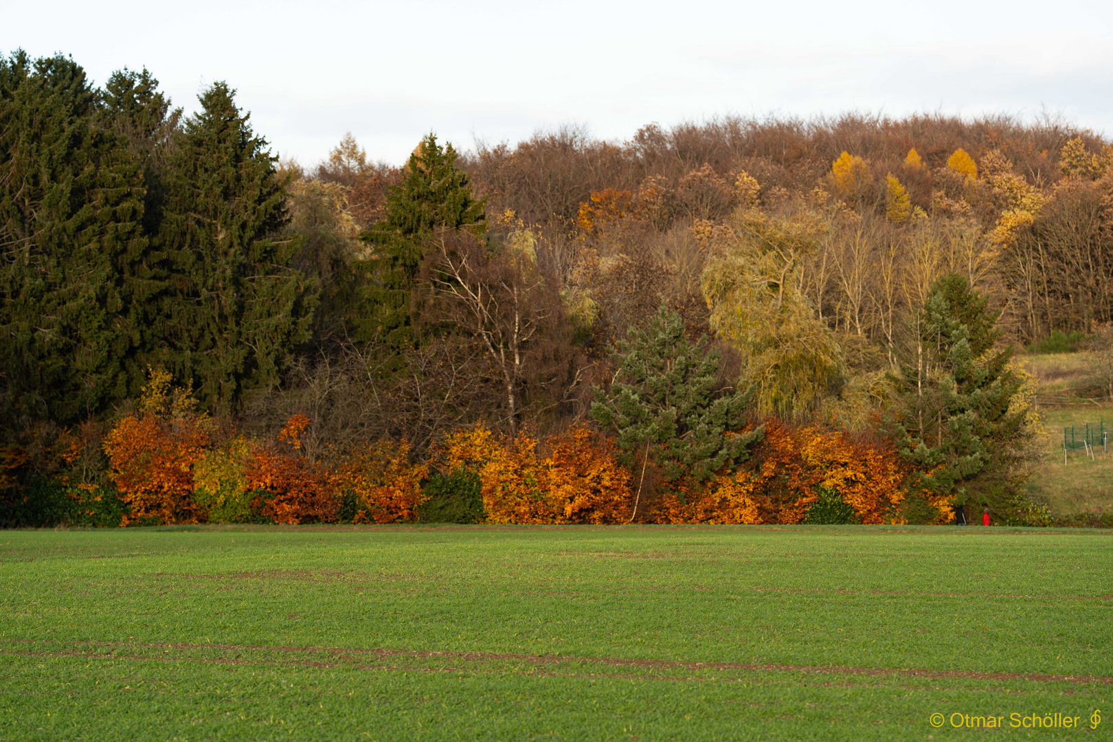 Im Herbstwald_1