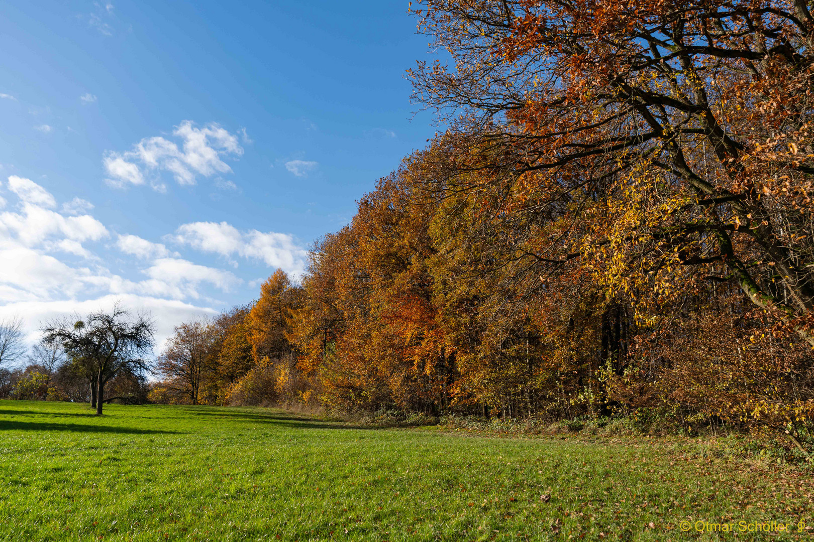 Im Herbstwald_4