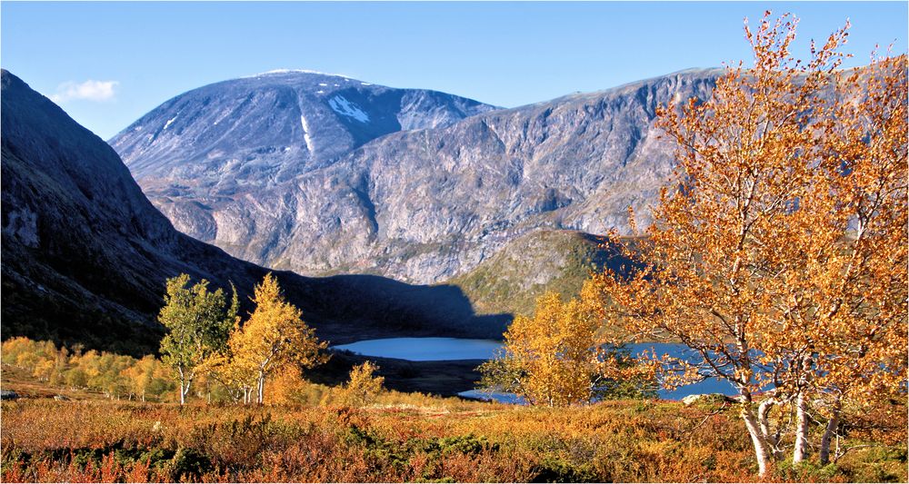 IM HERBSTWIND