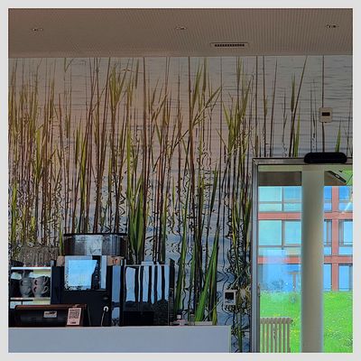 Im Herz-Neuro-Zentrum Münsterlingen, IV