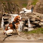 Im herzen der bergwelt  ..Nel cuore delle montagne