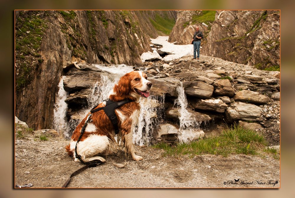 Im herzen der bergwelt  ..Nel cuore delle montagne